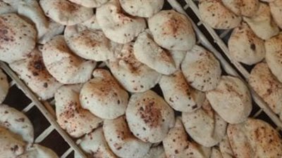 تخفضيات تصل لـ40%.. بشري سارة للمواطنين لأسعار الخبز السياحي