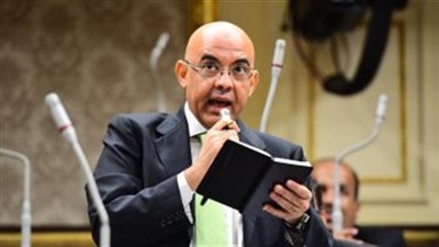 هندي : الدولة المصرية تدعم القضية قلبًا وقالبًا، وترفض التهجير القسرى