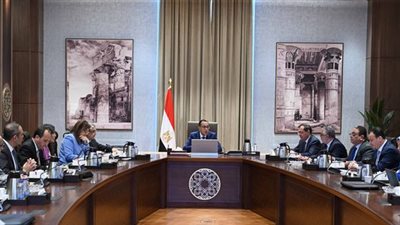 مدبولي: الدولة نجحت في الإفراج عن كافة السلع لدى الجمارك