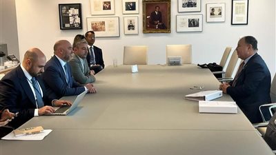 جهود مصرية إماراتية لتعزيز التغيرات المناخية في مصر