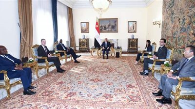 السيسي يستقبل الرئيس التنفيذي لمؤسسة التمويل التابعة لمجموعة البنك الدولي