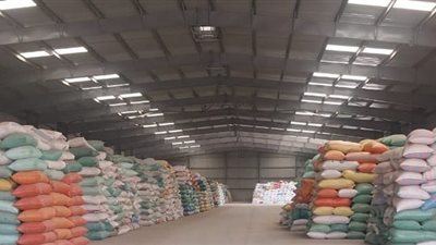 دمياط: توريد أكثر من 33 ألف طن من القمح بالشون والصوامع