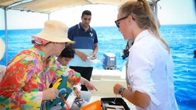 وزيرة البيئة تشهد دراسة سلوكيات أسماك القروش بالبحر الأحمر