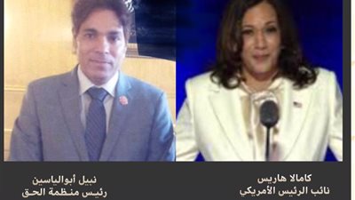 نبيل أبوالياسين يكتب: نائبة الرئيس الأمريكي «كامالا هاريس»والتمهيد لرئاسة أمريكا
