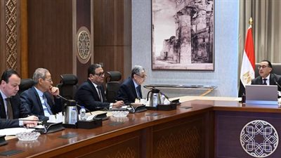 وزير الكهرباء يستعرض أمام مجلس الوزراء خطط الوزارة لتطوير الشبكات