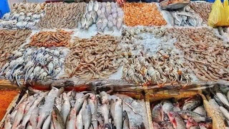 الأسماك اليوم