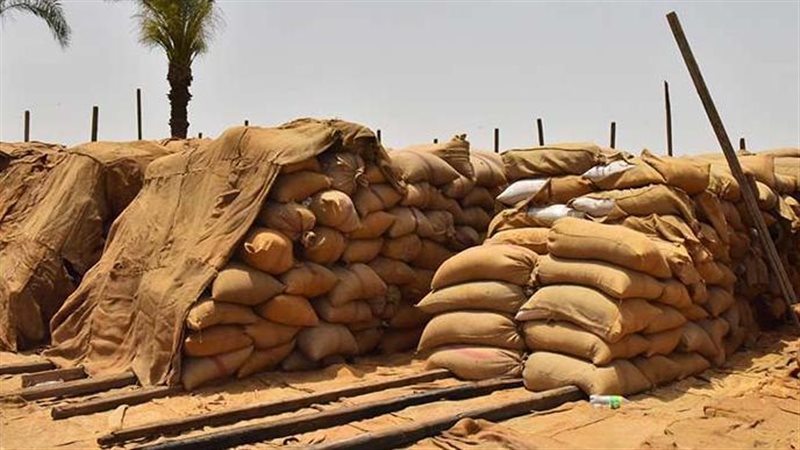 موسم توريد القمح