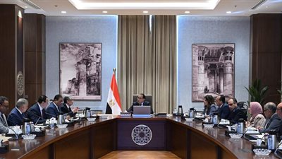 الحكومة تُعلن إلغاء مقابل الدمج بشأن الطاقة المتجددة