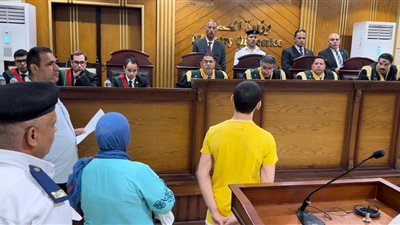 النيابة تُطالب بأقصى عقوبة للبلوجر 