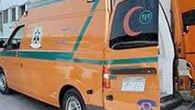 ثانٍ أيام العيد.. إصابة شخصين في حادث انقلاب في أبو حماد 