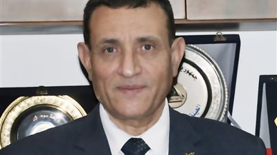 الأمية الهجائية والديمقراطية «أهم التحديات»