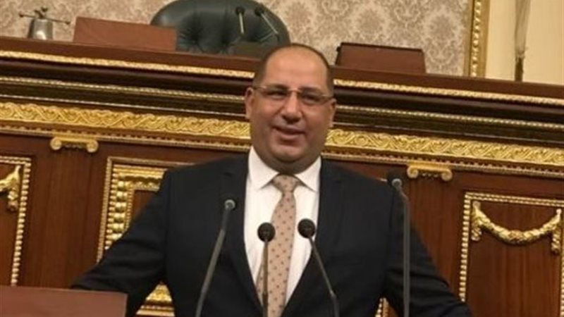 النائب احمد نويصر