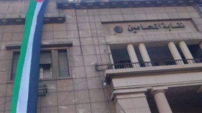 نقابة المحامين: لم تصدر أي أحكام متعلقة بالانتخابات من القضاء الإداري