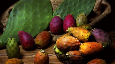 التين الشوكي| تراث غذائي غني بالفيتامينات والمعادن