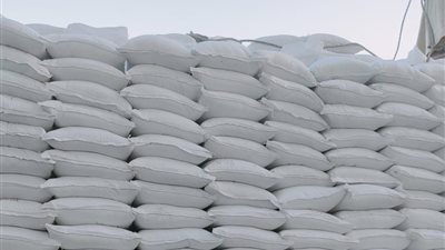 حملات تموينية مفاجئة لضبط السلع الفاسدة قبل طرحها في الأسواق بأسيوط.. صور