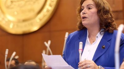 برلمانية تشيد بالجيش المصري: مصر لديها جيش قوي لا يضاهي بسالته وشجاعته في العالم