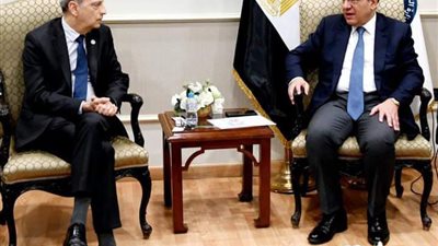 وزير البترول يبحث مع وفد 