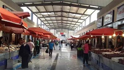 إستكمالا لحملة بورسعيد.. الجيزة تعلن مقاطعتها للأسماك 