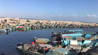 الزراعة: تطوير بحيرات سيناء يساهم في زيادة الإنتاج السمكي