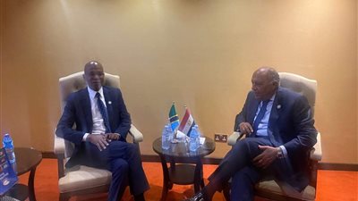 وزير الخارجية ونظيره التنزاني يبحثان سبل تعزيز العلاقات بين البلدين