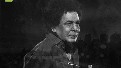 نقابة الموسيقيين تنعي شقيقة محمد منير