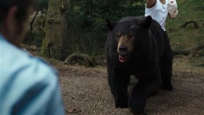البطل توفي قبل عرض الفيلم.. تعرف على موعد طرح فيلم Cocaine Bear