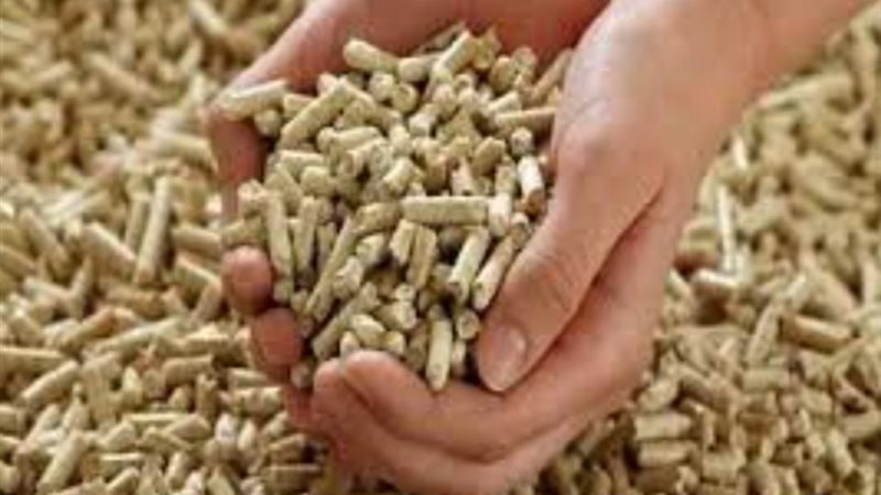 IMG_20240314_191958||IMG_20240314_172622