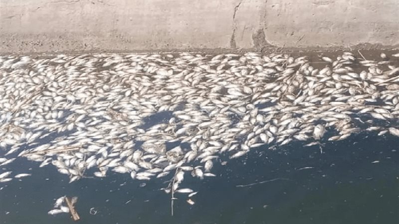 0E2519D7-582B-47AE-87A9-3B94C2302FF4||19D00EBD-6B26-4C66-A8