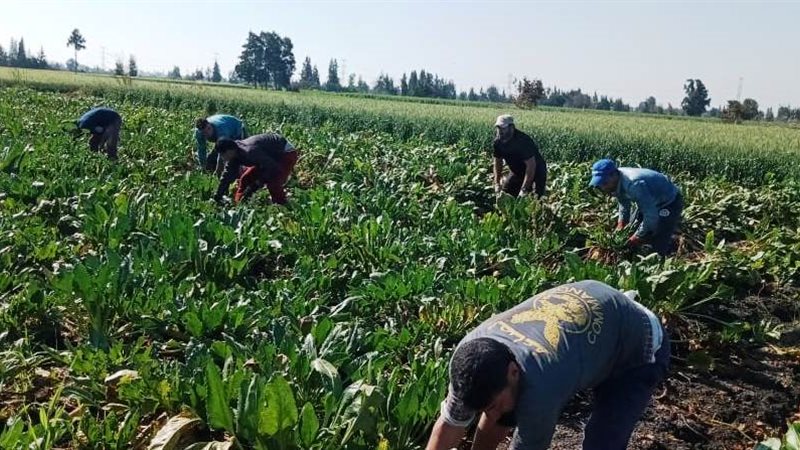 713c3e1a-9e1b-4c5f-ae22-4b75af0759d3