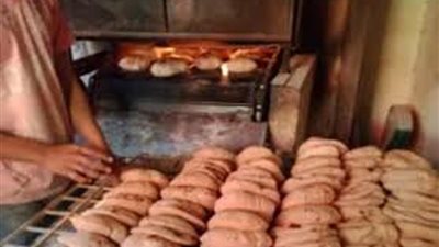 تحرير 535 محضر تموينى وضبط 110 اسطوانة غاز قبل بيعها بالسوق السوداء بالمنوفية