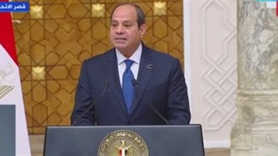 السيسي: زيارة بدنيس ستسهم في إثراء علاقاتنا الثنائية