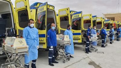 وزير الصحة: استقبال 28 طفلاً من المبتسرين عبر معبر رفح 