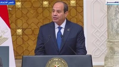 السيسي: نعمل على تكاتف الجهود الدولية لتحقيق وقف إطلاق النار