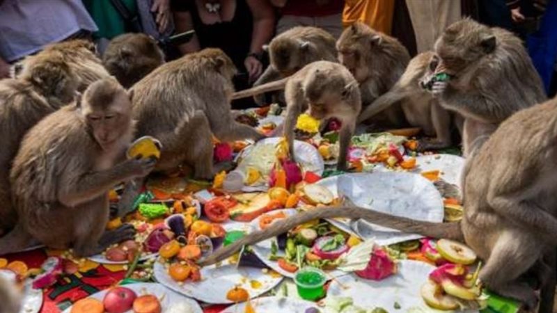 IMG_20240429_223620||IMG_20240429_223635