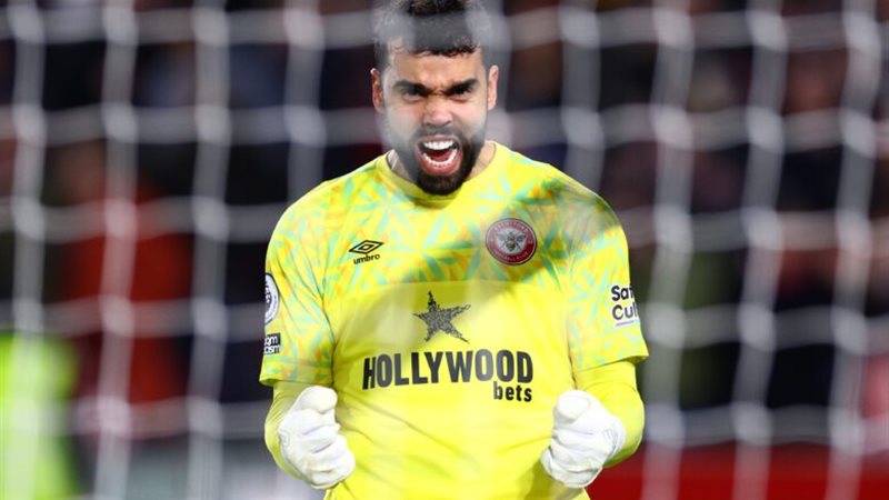 ديفيد رايا||