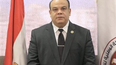 الهيئة الوطنية تنتهي من استعداداتها لتنظيم الانتخابات الرئاسية في الخارج