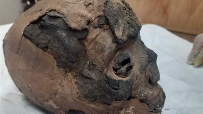 في إطار التعاون.. نيوزيلاندا تسلم وزارة السياحة والآثار عدة قطع أثرية ومصر توجه الشكر