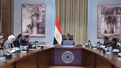 مدبولي يتابع إجراءات حوكمة المنظومة الضريبية وسرعة إنهاء المنازعات