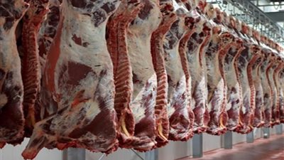 البتلوبـ 450 جنيهًا.. استقرار أسعار اللحوم بالأسواق المصرية