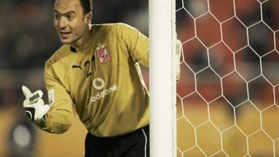 نادر السيد: 