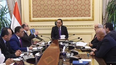 رئيس الوزراء يلتقي مسئولي شركة 