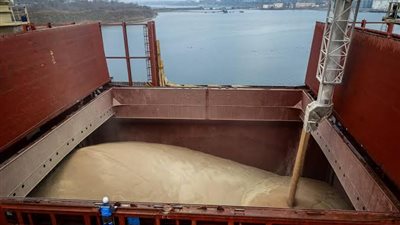 الزراعة الروسية توافق على مغادرة سفينة قمح إلى مصر