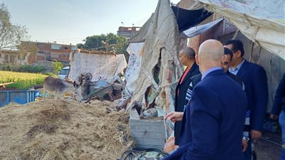 صحة الشرقية.. غلق 3 منشآت وإعدام أكثر من 10 طن أغذية غير صالحة