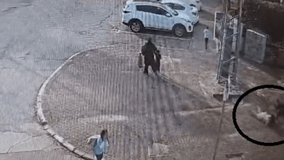 مستوطن إسرائيلي يطعن ربة منزل فلسطينية في «اللد المحتلة»