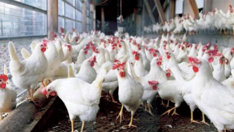 2275A2AA-56AC-47B7-8B6D-97105187DB98