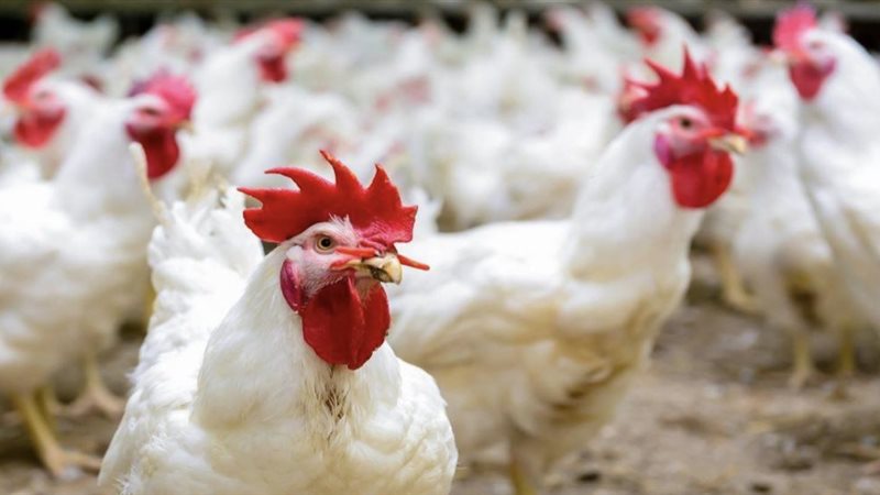 DC5634B1-EC32-4AED-B9CF-CC727189A19E