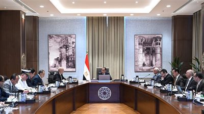 رئيس الوزراء في جولة تفقدية لمتابعة أعمال جزيرة الوراق