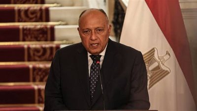 وزير الخارجية يؤكد التزام مصر الراسخ تجاه القضية الفلسطينية