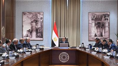 رئيس الوزراء يتابع جهود توطين صناعة الحرير في مصر