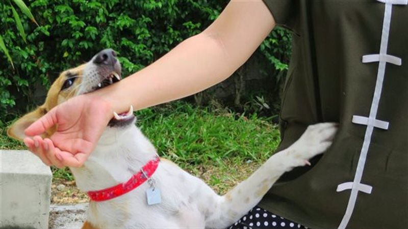 716AA34E-5FFC-47C4-BBFA-42CDBE9590F1